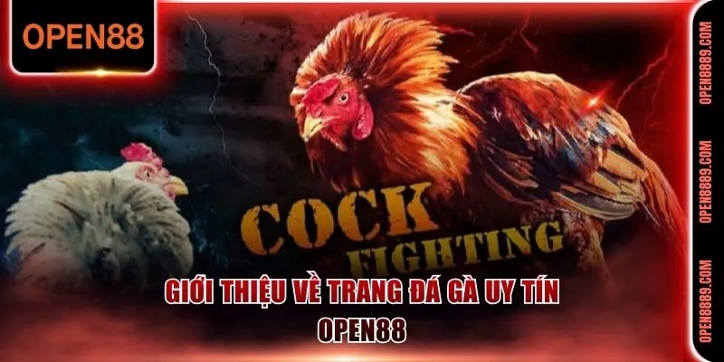 Giới thiệu đôi nét về trang đá gà uy tín